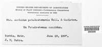 Image Associated With the Occurence